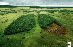 wwf-lungs